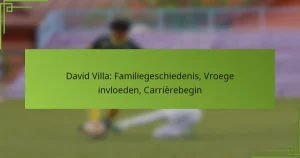 David Villa: Familiegeschiedenis, Vroege invloeden, Carrièrebegin