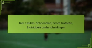 Iker Casillas: Schoonblad, Grote trofeeën, Individuele onderscheidingen