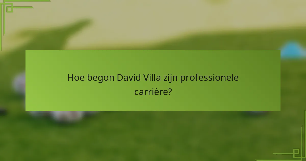 Hoe begon David Villa zijn professionele carrière?