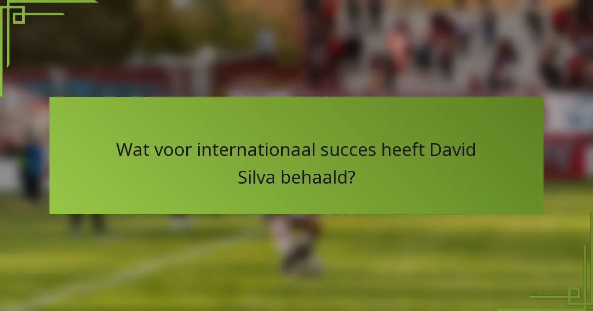 Wat voor internationaal succes heeft David Silva behaald?