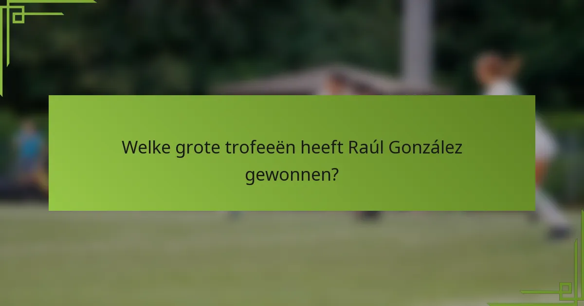 Welke grote trofeeën heeft Raúl González gewonnen?